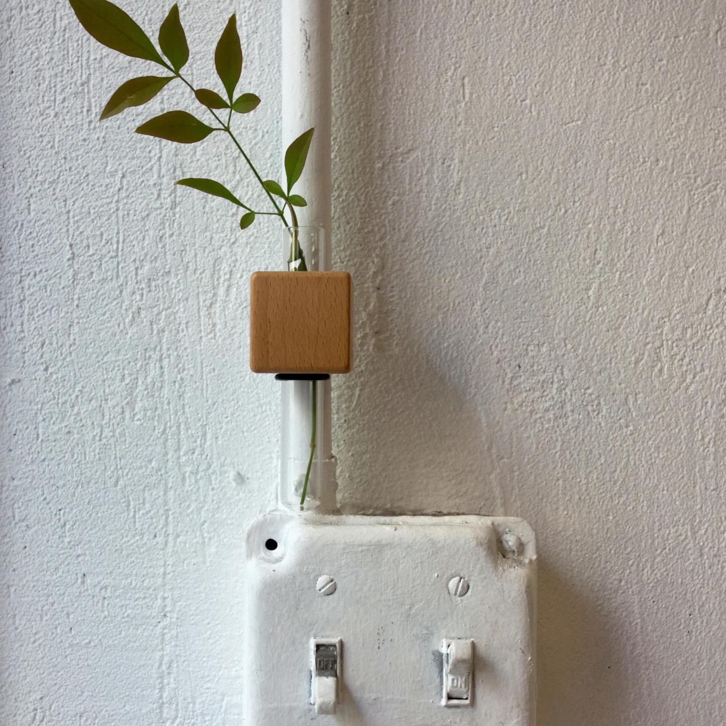 Smart Magnet Vase - Cubes (Mixed, set of 3)