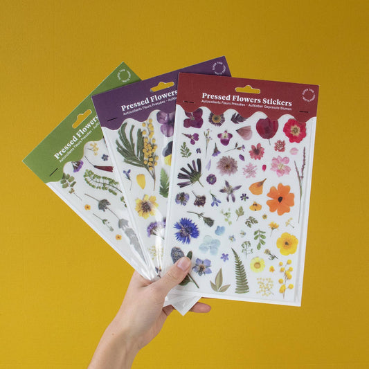 Hand holding packs of pressed flower stickers against a yellow background