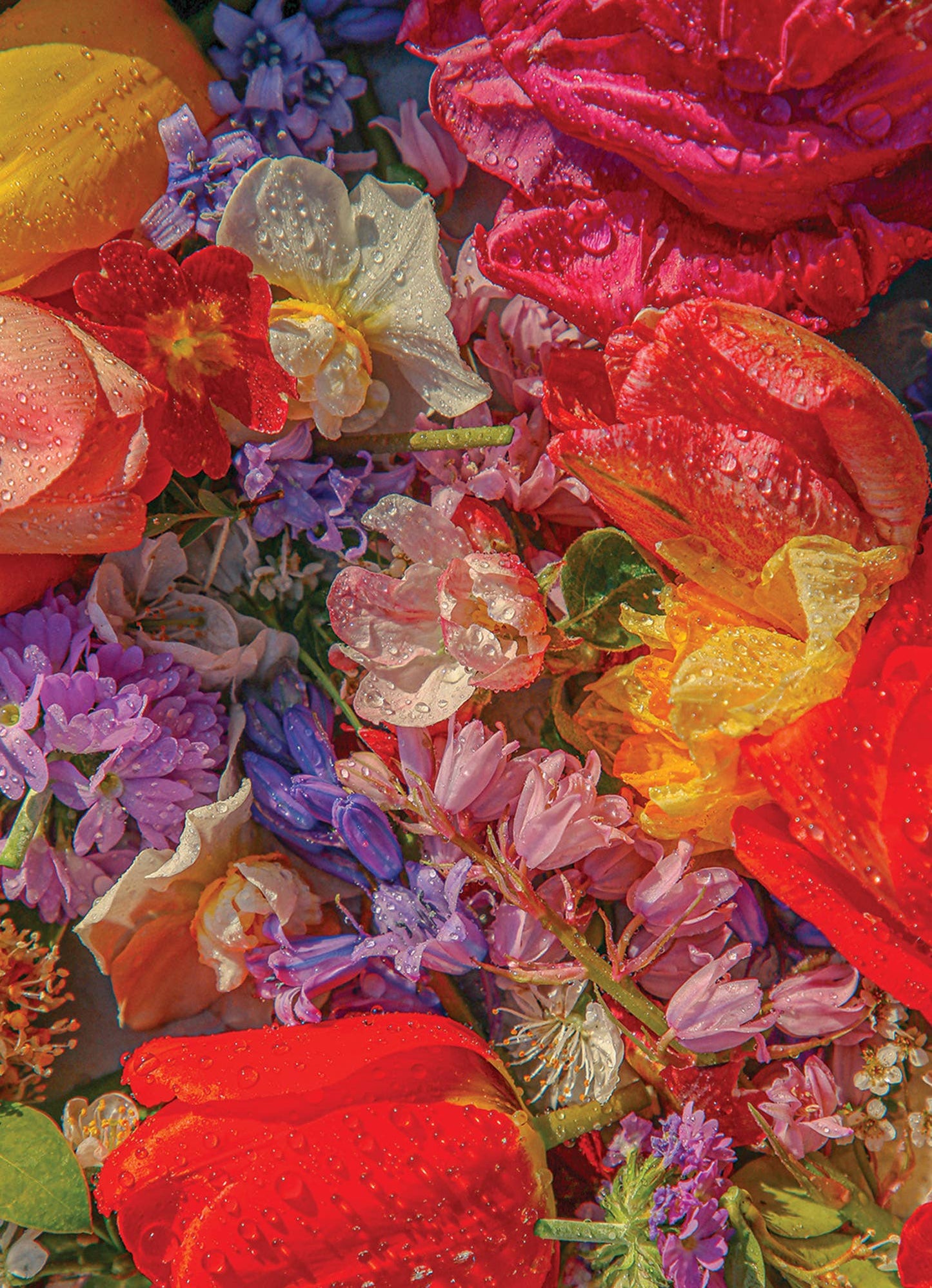 The Blossom 1000-piece puzzle box beside the finished floral image.