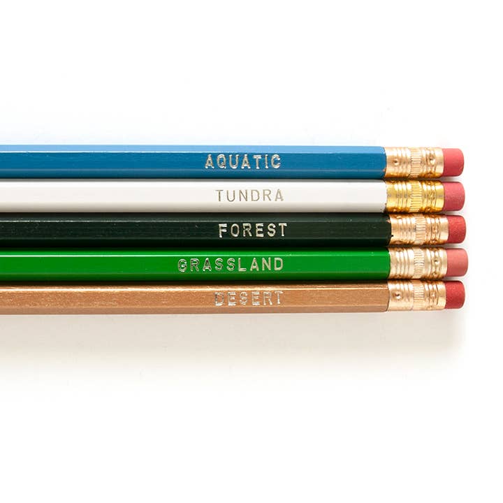 Smarty Pants Paper - Biomes Pencil Set